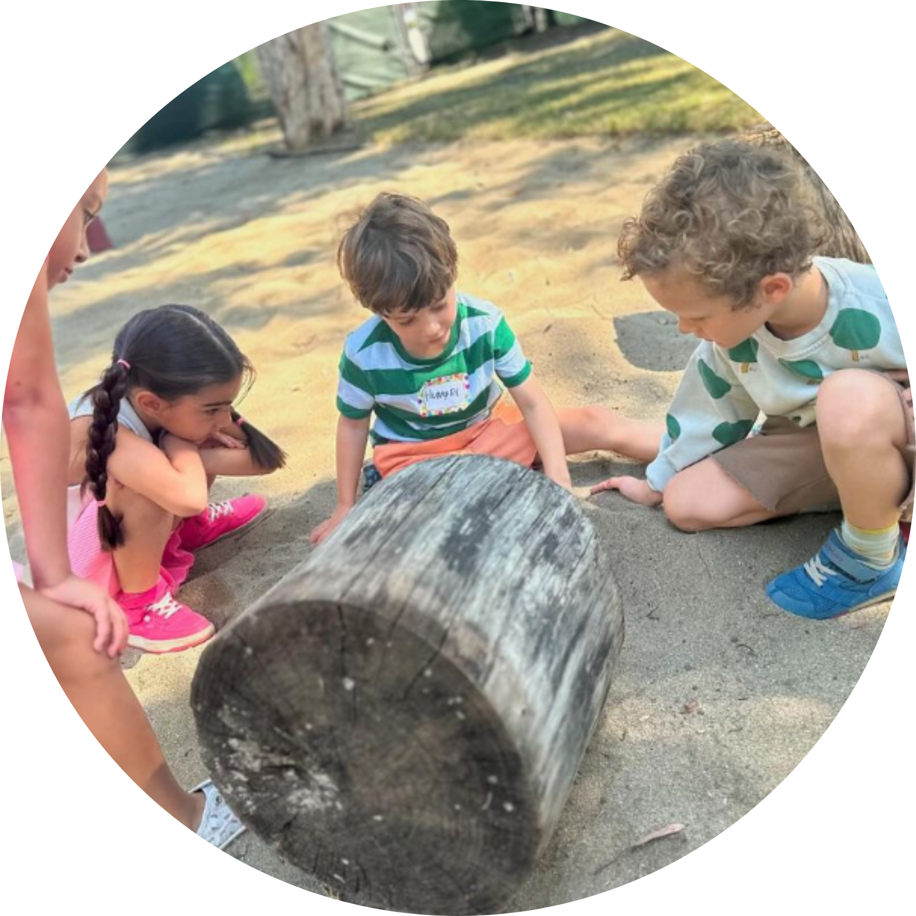 Exploring a Log Resized 1