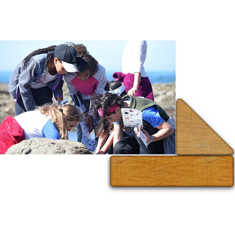 Westland_School_Experience_23